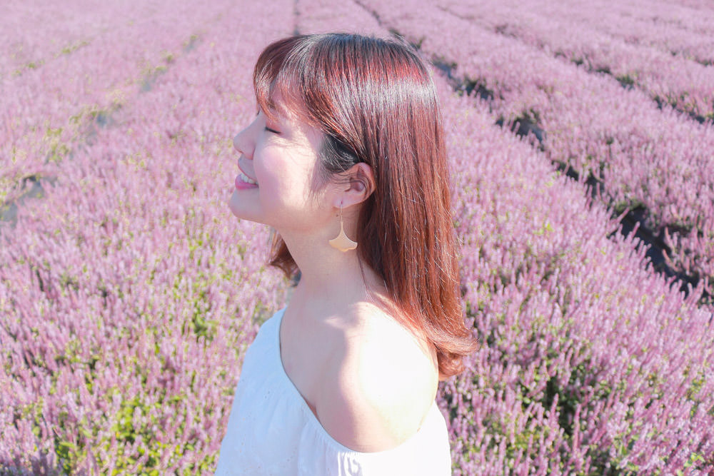 桃園紫色花海