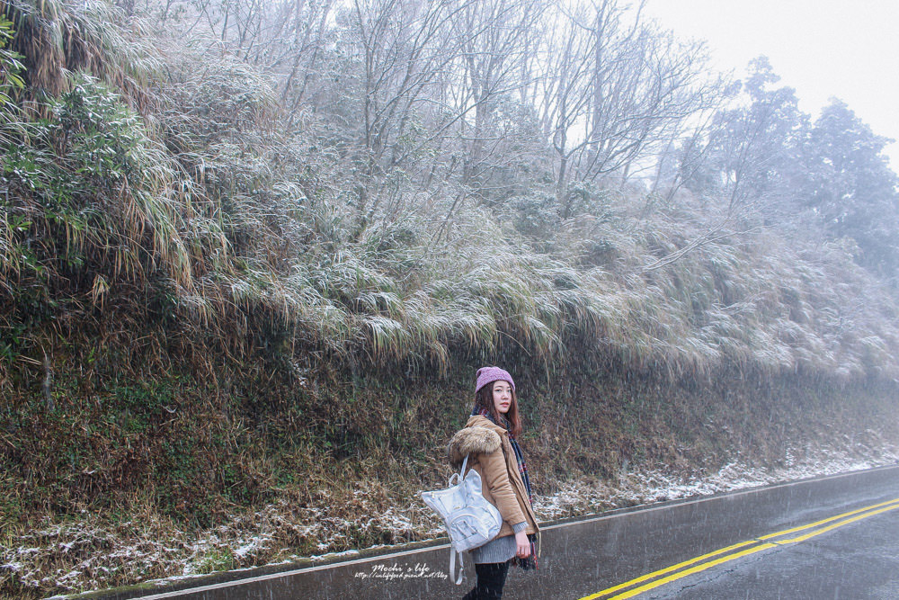 太平山下雪