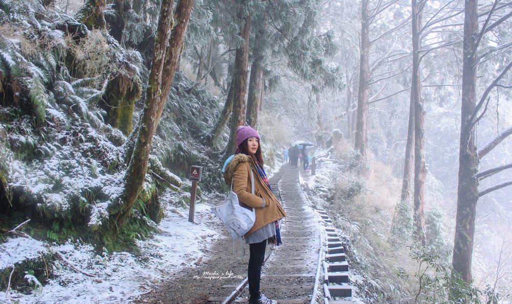 宜蘭太平山一日遊｜太平山下雪！不用雪鏈 一日來回賞雪趣 見晴懷古步道