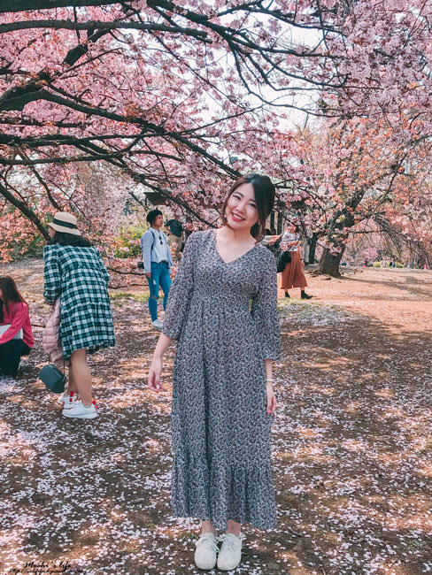 東京櫻花野餐