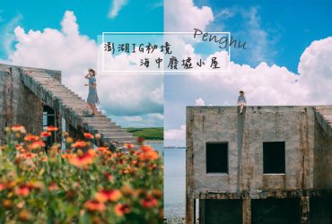 澎湖南環IG景點｜青灣仙人掌公園：到海邊廢墟小屋拍IG秘境美照！茂盛的天人菊澎湖縣花