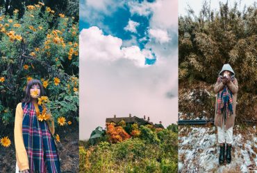 台灣下雪景點｜合歡山下雪：裝雪鏈分享＆放晴後的合歡山雲海＋落羽松超美！