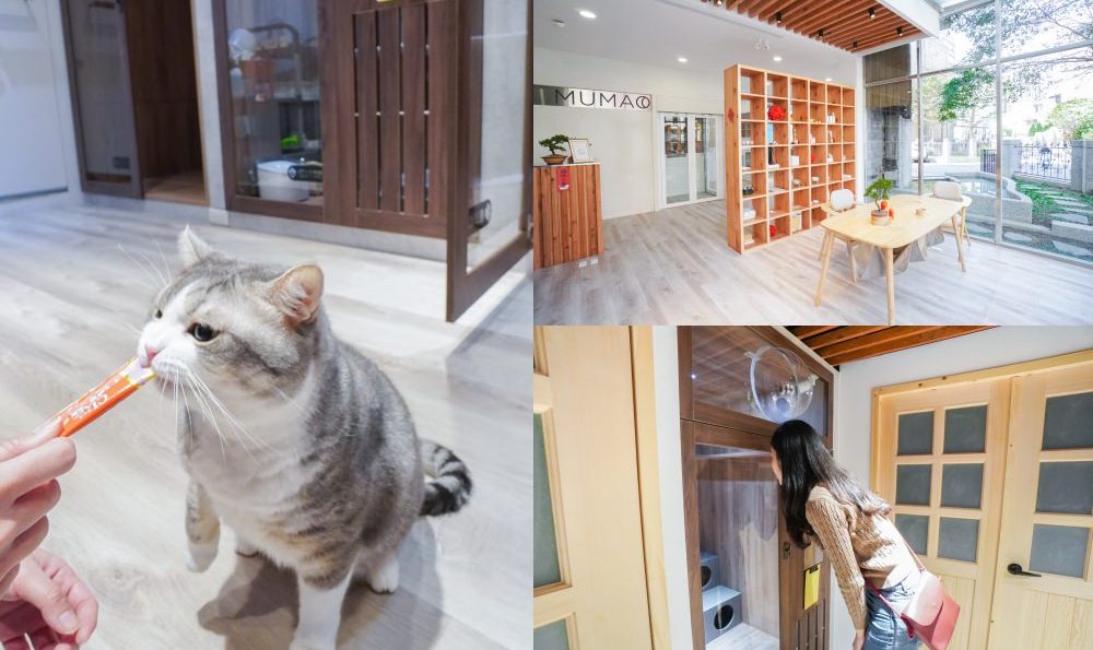 新竹貓咪旅館｜牧貓精品寵物旅館：像在家一般的自在～總統級貓旅館，長住也很歡迎