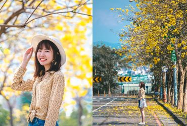 台中黃花風鈴木景點｜廍子公園：黃金花海超美超好拍，同場加映不藏私秘境大公開！