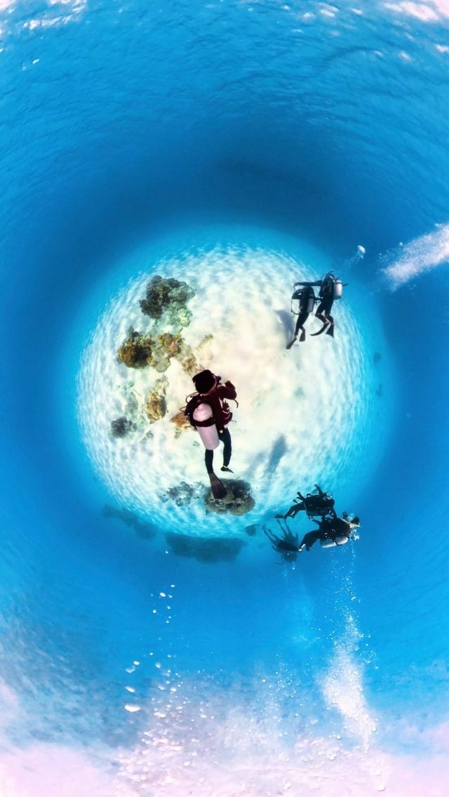 確定要去沖繩玩時
少女一直許願想要 @insta360tw X3最新的全隱形潛水殼
舊版潛水殼錄影會照到X3
但新款在全景鏡頭時會完全隱形🪄
連自拍桿子也是隱形的
完美紀錄水下的神奇景觀！

非常推薦給喜歡玩水的人呀🤿
------------
🔍 #麻糬玩沖繩 #麻糬出國趣 #麻糬玩日本
------------
📹 @maurice0722 
*
*
#隱形潛水殼#水下攝影#invisibledivecasedive#insta360water#readysetdive#underwaterlife#underwatervideo
#insta360#insta360tw#insta360x3#nodronenoproblem#渡嘉敷島#渡嘉敷#慶良間諸島#沖繩離島#沖繩景點#沖繩旅行#沖繩潛水#沖繩浮潛#沖繩旅遊#沖繩觀光#沖繩自由行#阿波連ビー#keramaislands#Tokashikiisland#aharenbeach#Okinawatrip