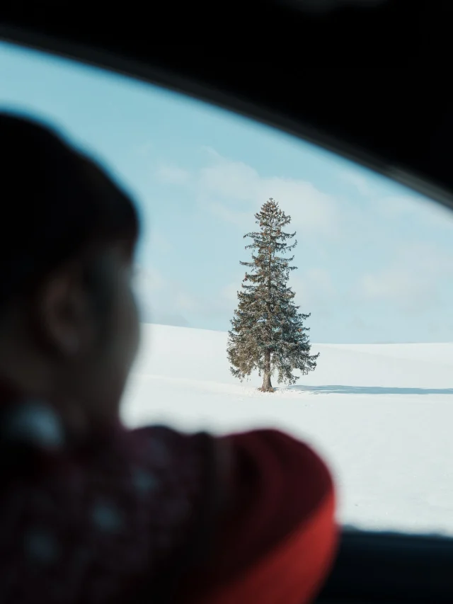 2025的最後
用最喜歡的孤獨聖誕樹和雪景劃下句點💓

在自媒體這段路走了很久
不是最厲害的 但也默默在前進
總覺得自己不夠知名 大家可能看過我的影片就忘了😂
但偶爾收到一些溫暖的私訊
說我們的攻略有幫到他們 或是飯店太美太值得了
拍攝睡不飽、三餐不正常的辛苦 就值得了🥺

今年居然也飛了12趟！！！
帶了好多不同的美景回來
IG突破11萬追蹤
YT也來到六萬追蹤🥹

希望明年依舊保持熱忱
然後開發日本以外的國家😆
分享給你們最美的景色 最棒的攻略
我們明年見🥰
------------
🔍 #麻糬玩北海道 #麻糬出國趣 #麻糬玩日本 #irenejian
------------
📷 @maurice.lee_ 
*
*
#北海道#北海道景點#北海道旅行#美瑛聖誕樹#美瑛の丘#美瑛景點#クリスマスツリーの木#孤獨的樹#美瑛#biei#hokkaido#2025bye