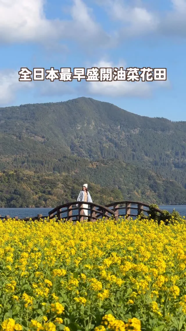 冬季限定！全日本最早盛開的油菜花田
一整片就像是金黃地毯
超浪漫💕
搭配遠方的湖景跟開聞岳活火山
夢幻到不行！

💬留言「池田湖」
就傳鹿兒島必玩15個景點懶人包給你喔～
-
油菜花季為每年12月下旬到2月上旬
還會舉辦油菜花馬拉松

更多鹿兒島行程
可以看我YT長片
搜尋「Irene麻糬」就有囉！
先收藏起來
冬天來的話不要錯過～
------------
🔍 #麻糬玩九州 #麻糬玩鹿兒島 #麻糬玩日本
------------
*
*
#池田湖#開聞岳#指宿市#鹿兒島#鹿兒島景點#鹿兒島觀光#油菜花#油菜花田