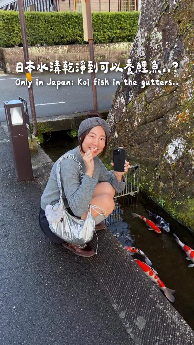 終於見識到
日本水溝真的乾淨到可以養鯉魚！

------------
🔍 #麻糬玩九州 #麻糬出國趣 #麻糬玩日本 
------------
📹 @maurice.lee_ 
*
*
#南九州#宮崎#miyazaki#宮崎旅行#iphone#鯉魚#日本景點